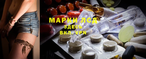 ПСИЛОЦИБИНОВЫЕ ГРИБЫ Алзамай