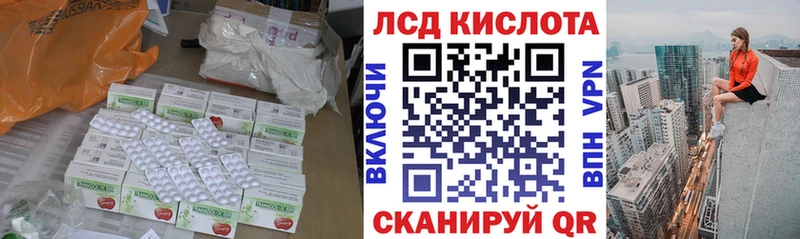 дарнет шоп  Тогучин  ЛСД экстази ecstasy 