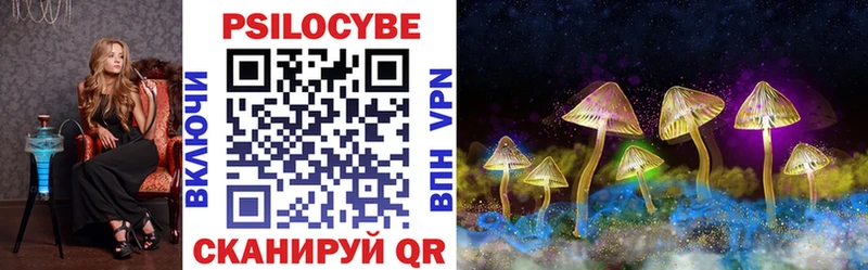 закладка  Тогучин  hydra ССЫЛКА  Галлюциногенные грибы Psilocybe 