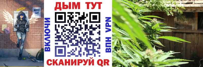 Конопля AK-47  продажа наркотиков  Тогучин 